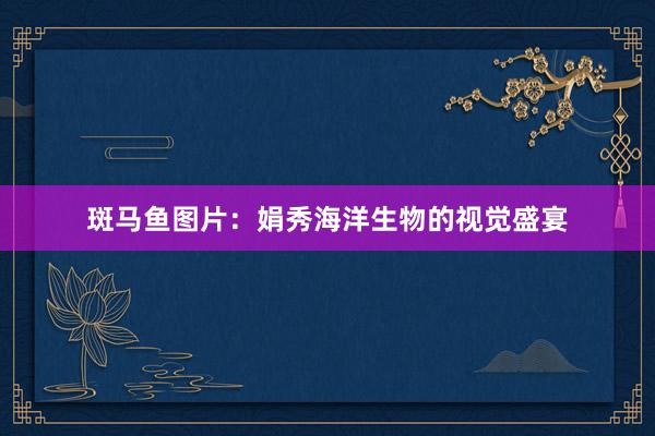 斑马鱼图片:娟秀海洋生物的视觉盛宴