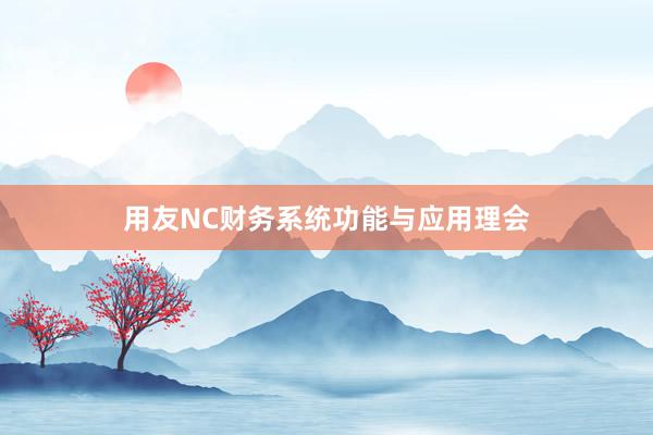 用友NC财务系统功能与应用理会